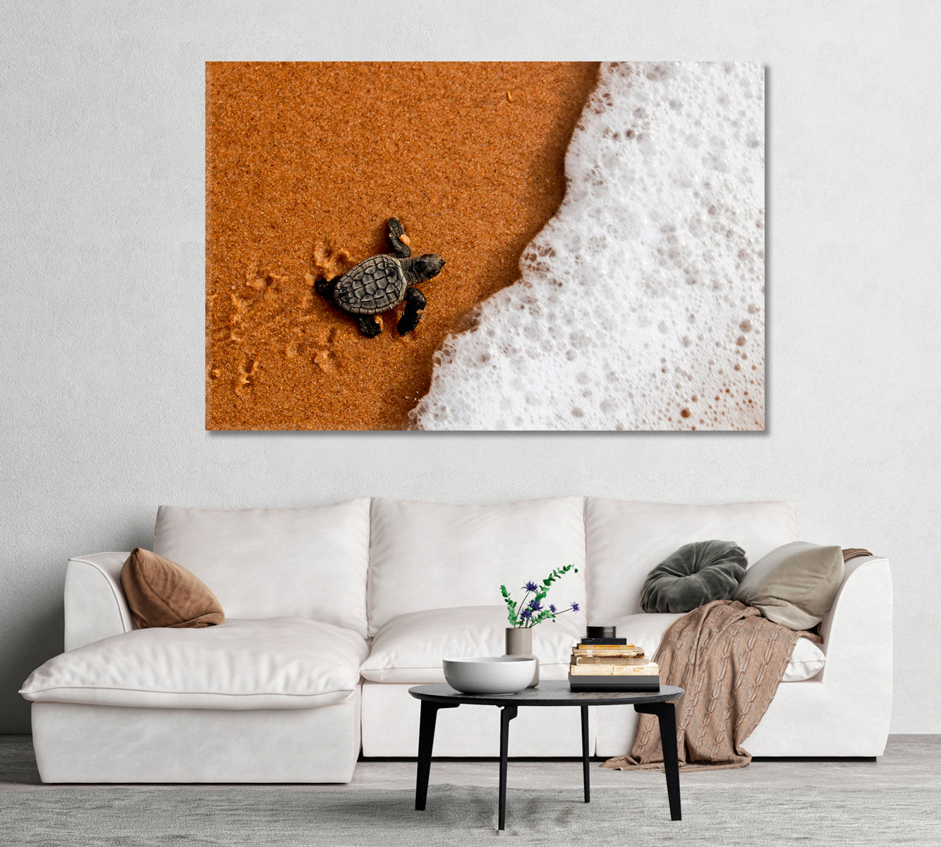 Baby Sea Turtle Walking to Sea Canvas Print-Canvas Print-CetArt-1 Panel-24x16 inches-CetArt