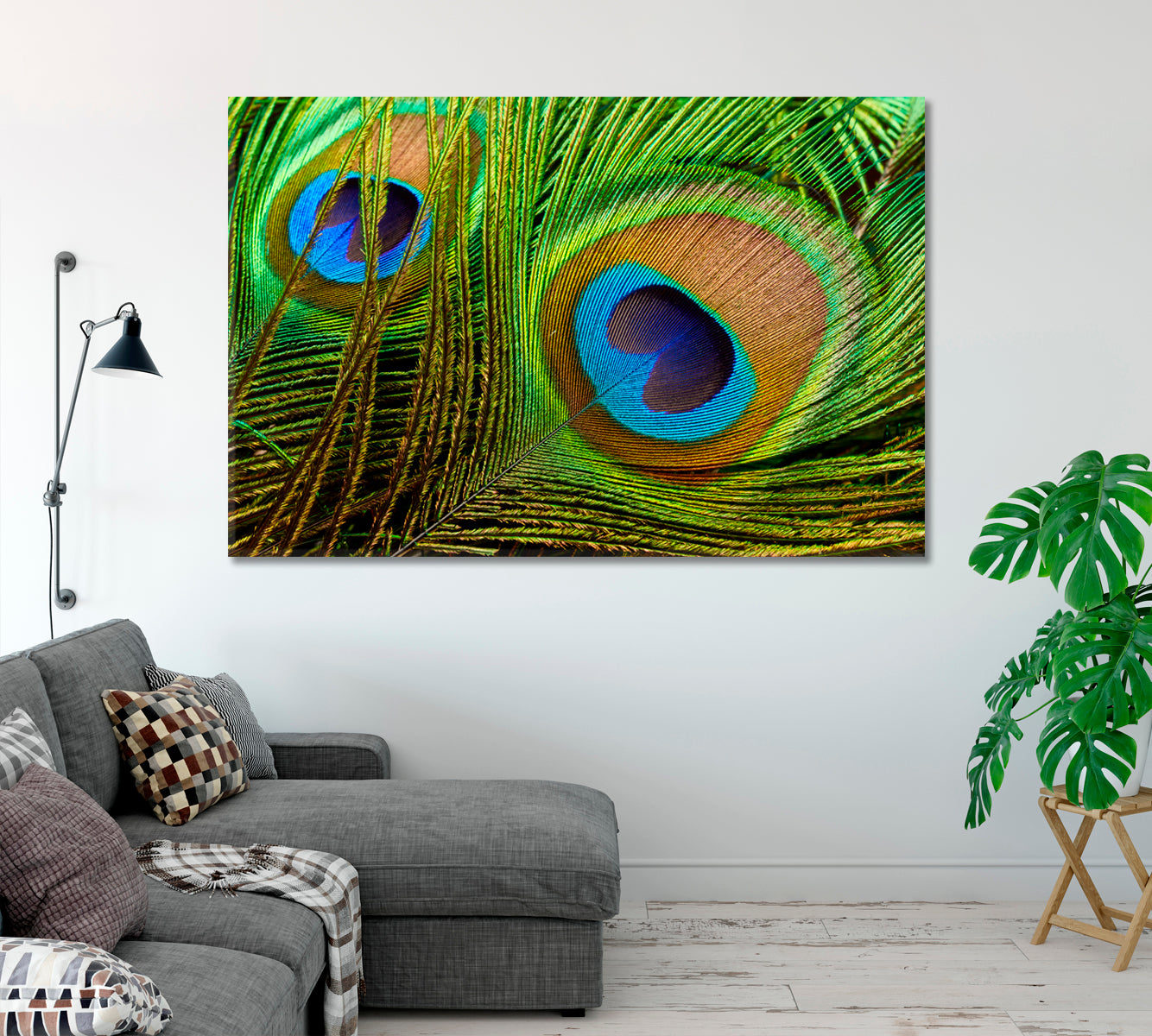 Bright Peacock Feathers Canvas Print-Canvas Print-CetArt-1 Panel-24x16 inches-CetArt