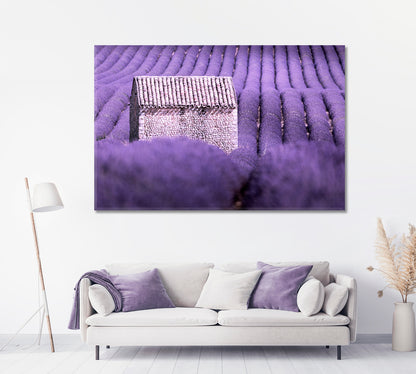 Valensole Purple Lavender Field Provence France Canvas Print-Canvas Print-CetArt-1 Panel-24x16 inches-CetArt