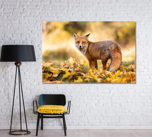 Red Fox Stands on Orange Foliage in the Forest Canvas Print-Canvas Print-CetArt-1 Panel-24x16 inches-CetArt