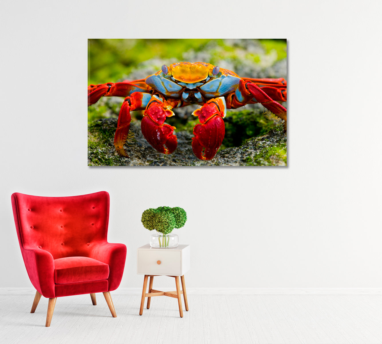 Crab Close Up Canvas Print-Canvas Print-CetArt-1 Panel-24x16 inches-CetArt