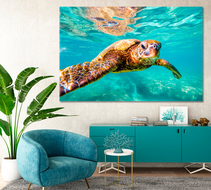 Hawaiian Sea Turtle Underwater Canvas Print-Canvas Print-CetArt-1 Panel-24x16 inches-CetArt