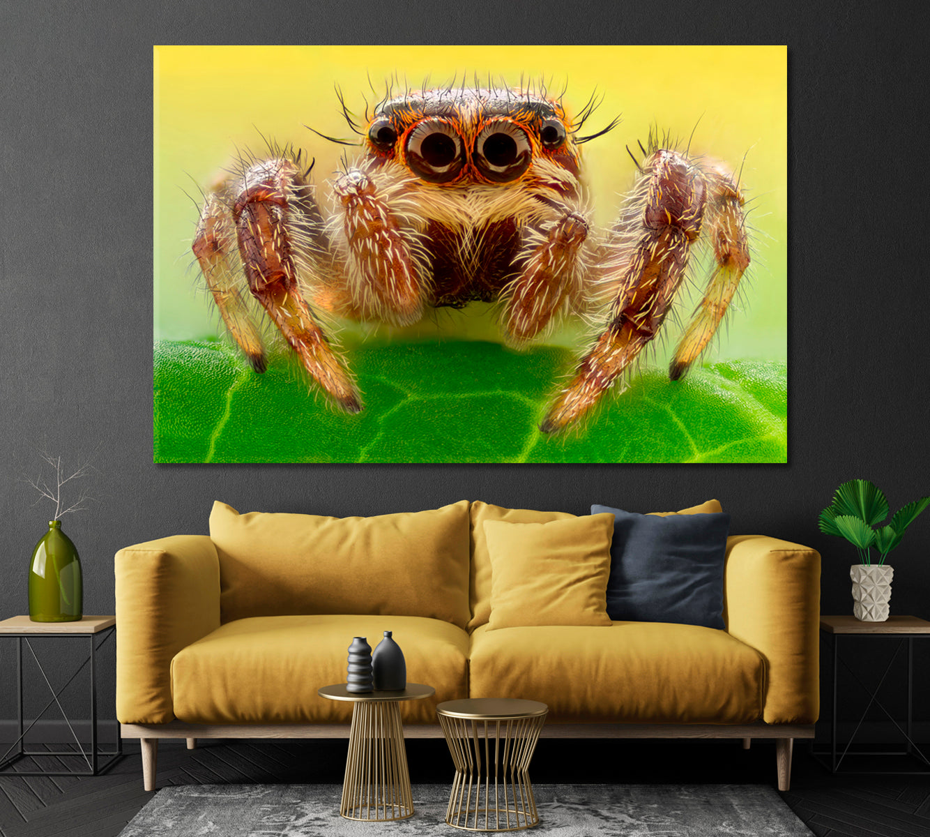 Huge Spider on a Leaf Canvas Print-Canvas Print-CetArt-1 Panel-24x16 inches-CetArt