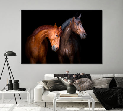 Two Horse Close Up Canvas Print-Canvas Print-CetArt-1 Panel-24x16 inches-CetArt