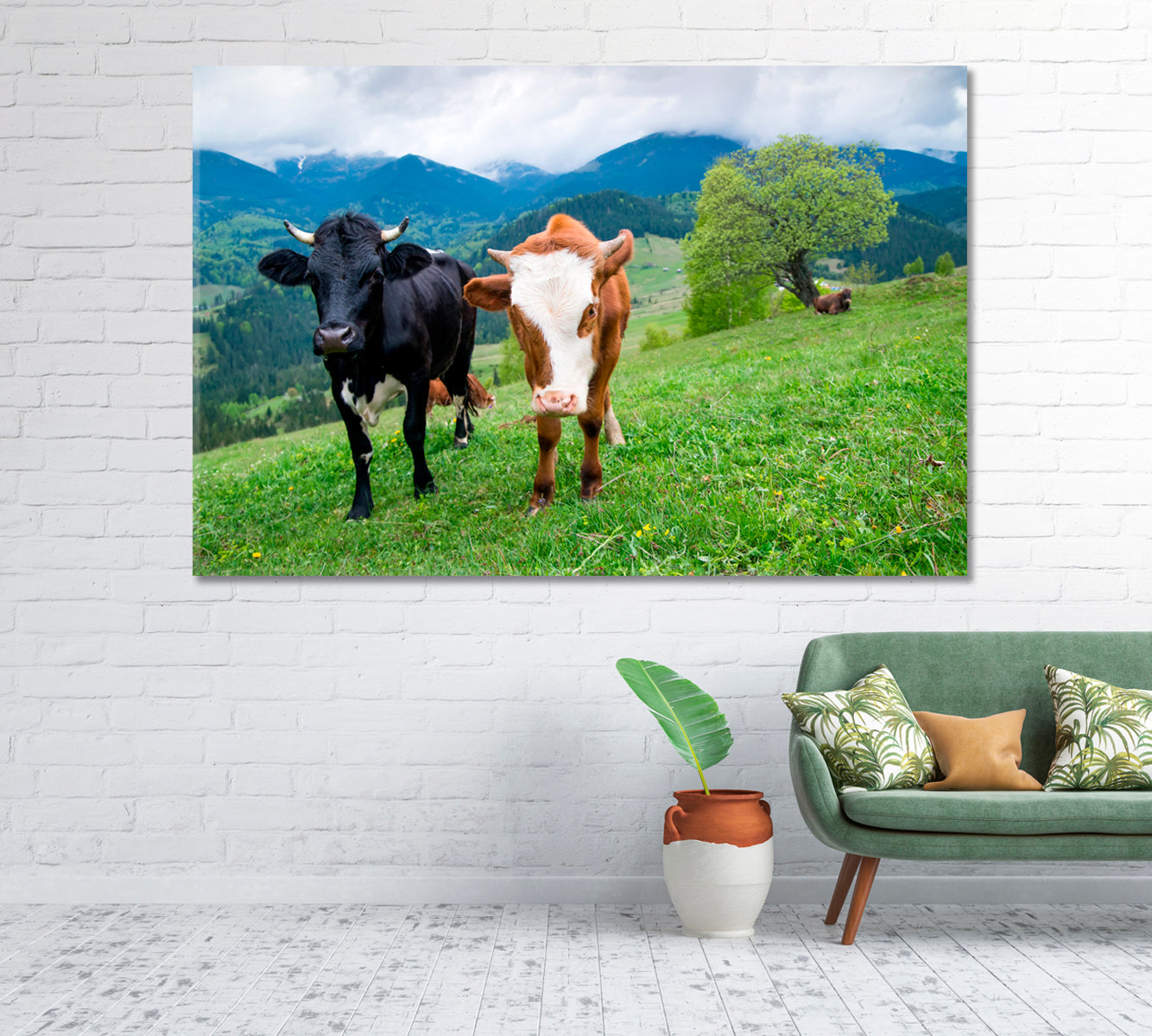 Cows in Meadow Canvas Print-Canvas Print-CetArt-1 Panel-24x16 inches-CetArt