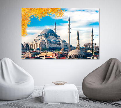 Suleymaniye Mosque Istanbul Turkey Canvas Print-Canvas Print-CetArt-1 Panel-24x16 inches-CetArt