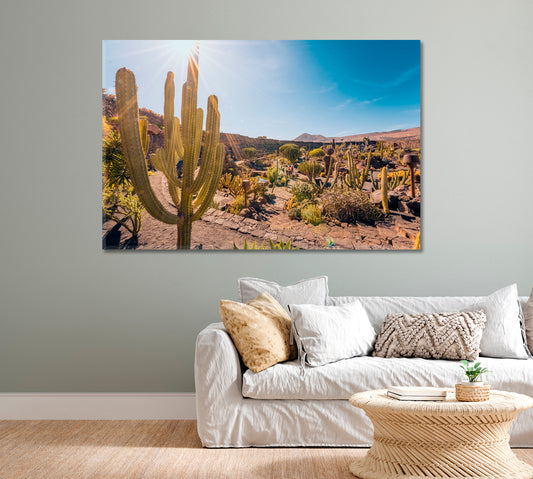 Cactus Garden Lanzarote Canary Islands Spain Canvas Print-Canvas Print-CetArt-1 Panel-24x16 inches-CetArt