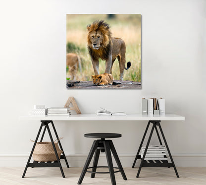 Wild Male Lion with Cub Kenya Canvas Print-Canvas Print-CetArt-1 panel-12x12 inches-CetArt