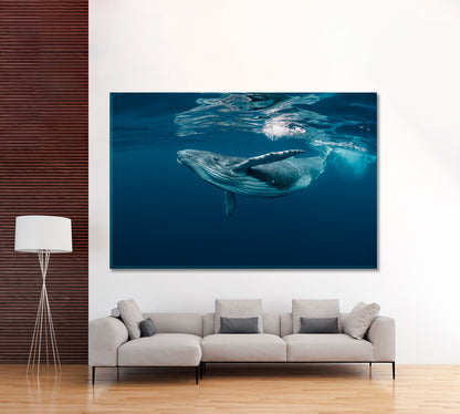 Baby Whale Surface Ocean Canvas Print-Canvas Print-CetArt-1 Panel-24x16 inches-CetArt