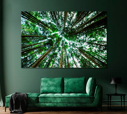 Bottom View of Giant Green Trees Canvas Print-CetArt-1 Panel-24x16 inches-CetArt