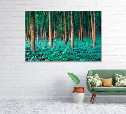 Oak Forest Canvas Print-Canvas Print-CetArt-1 Panel-24x16 inches-CetArt