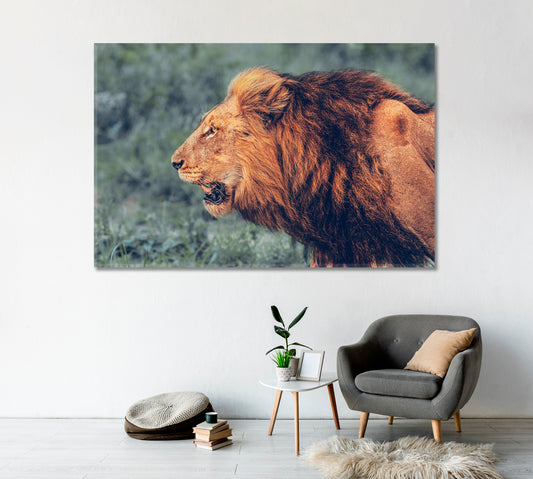 Wild Roaring Lion Canvas Print-Canvas Print-CetArt-1 Panel-24x16 inches-CetArt