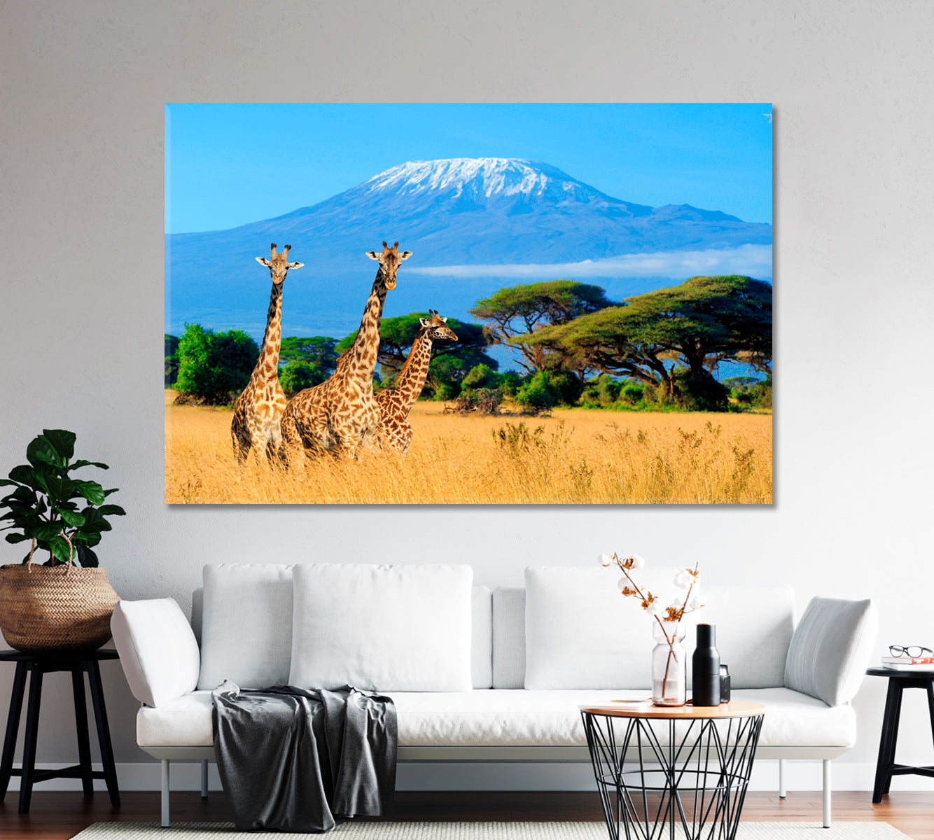 Three Giraffes Near Mount Kilimanjaro Africa Canvas Print-Canvas Print-CetArt-1 Panel-24x16 inches-CetArt