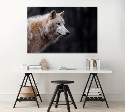 Arctic Wolf Canvas Print-Canvas Print-CetArt-1 Panel-24x16 inches-CetArt