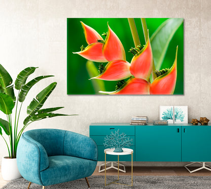 Red Tropical Flower Heliconia Canvas Print-Canvas Print-CetArt-1 Panel-24x16 inches-CetArt