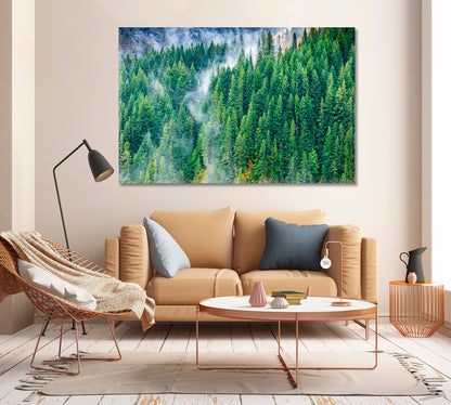 Pine Woods Covered by Fog Canvas Print-Canvas Print-CetArt-1 Panel-24x16 inches-CetArt