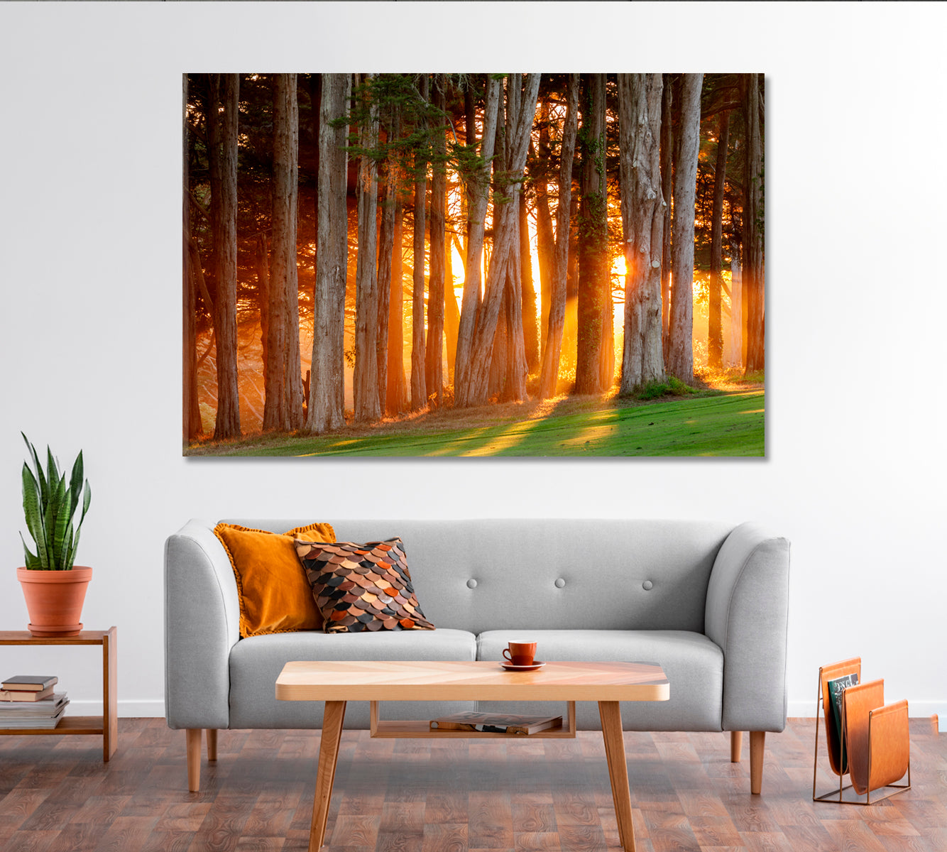 Sunset Sun Rays Breaking Through Trees Canvas Print-Canvas Print-CetArt-1 Panel-24x16 inches-CetArt