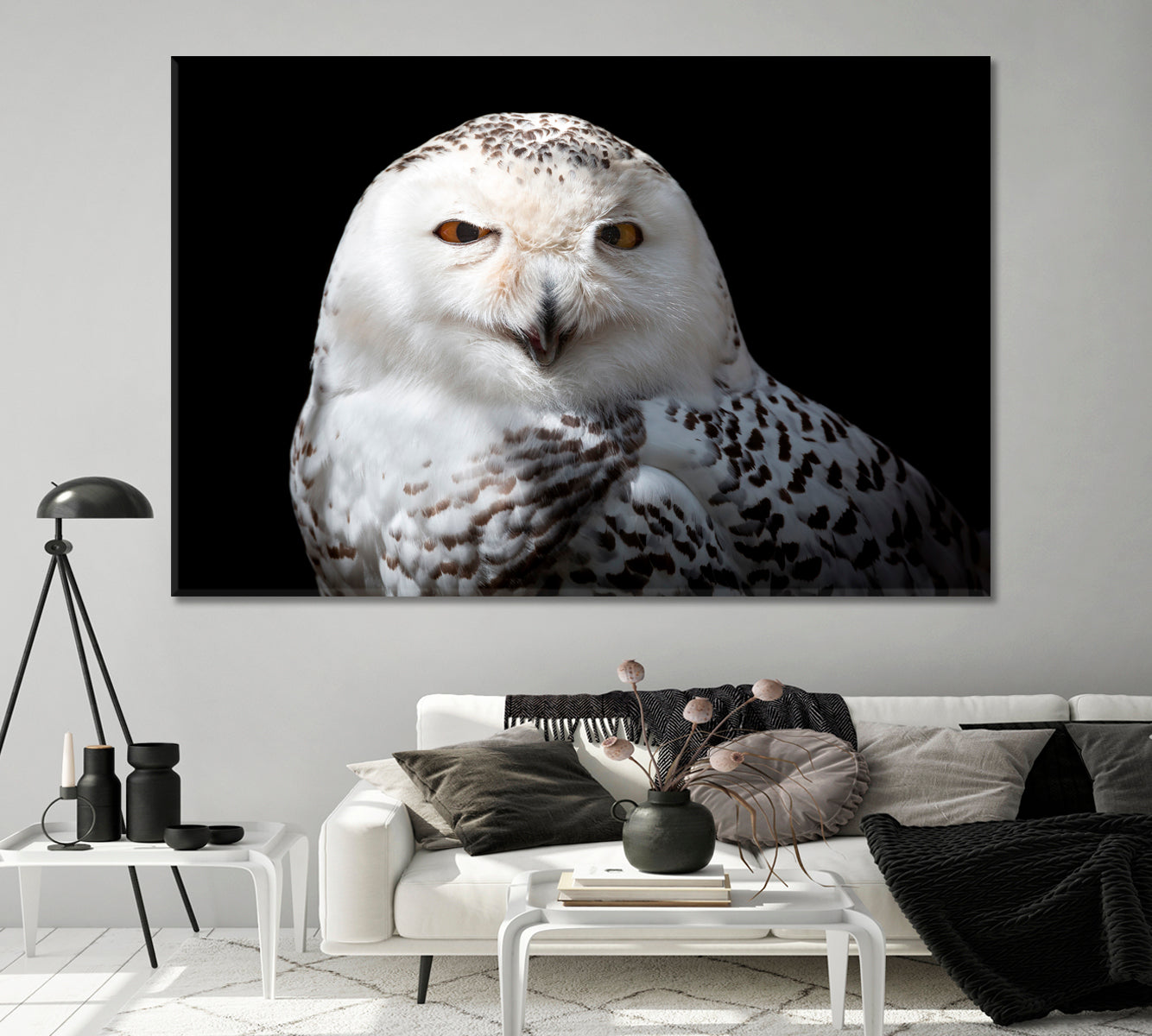 Snowy Owl Canvas Print-CetArt-1 Panel-24x16 inches-CetArt