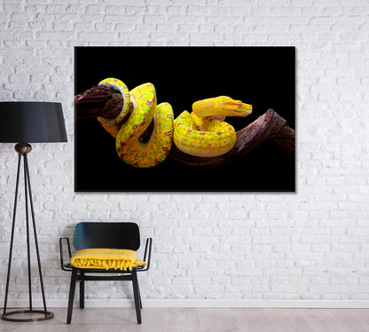 Yellow Python Snake Canvas Print-Canvas Print-CetArt-1 Panel-24x16 inches-CetArt