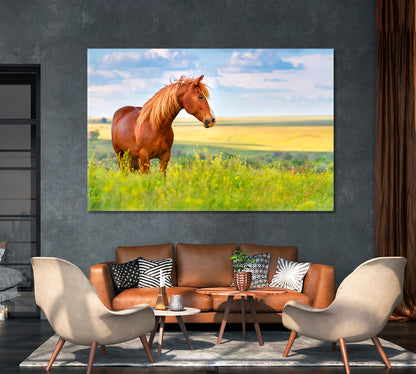 Red Horse in Flower Field Canvas Print-Canvas Print-CetArt-1 Panel-24x16 inches-CetArt