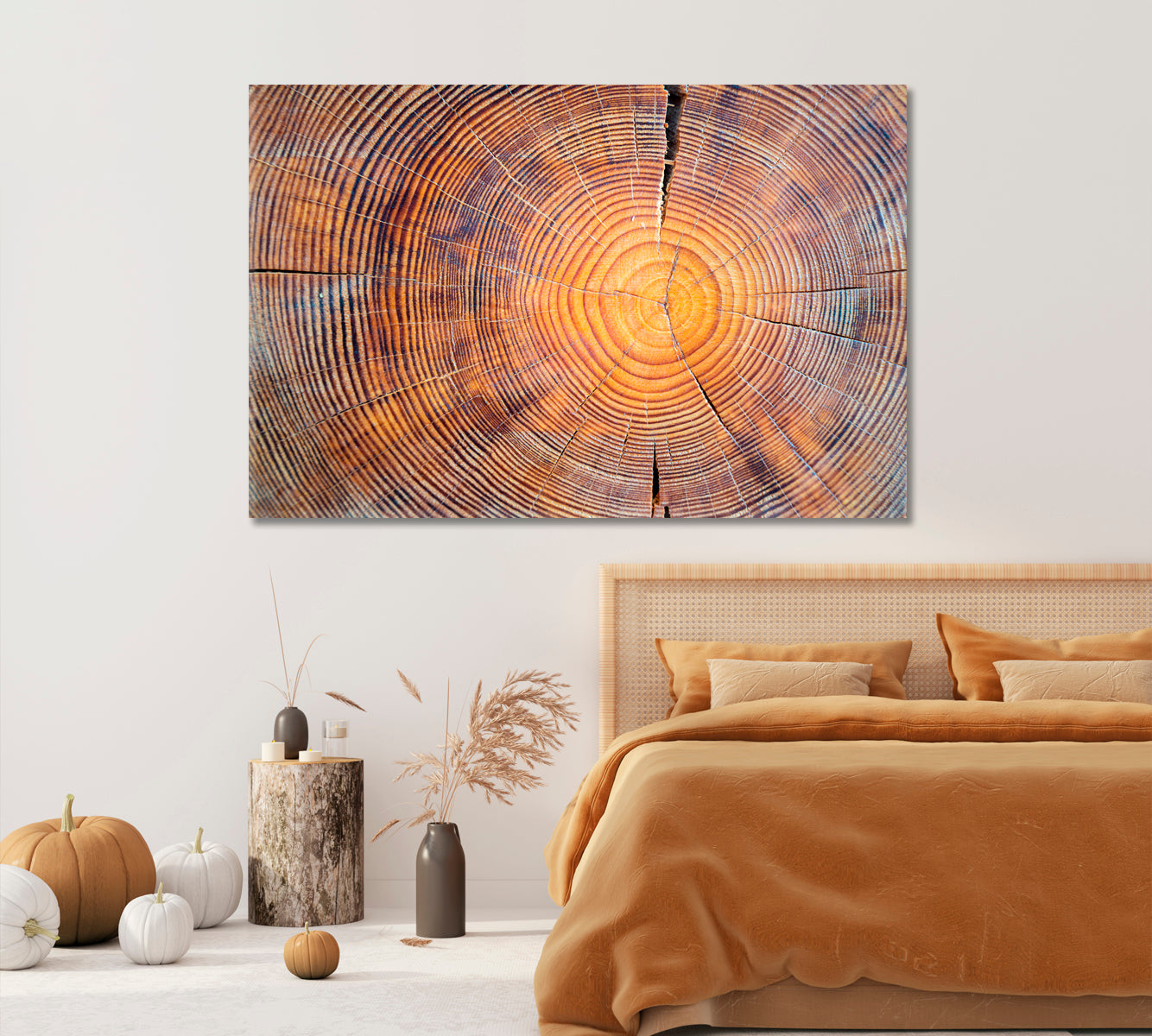 Old Cracked Log Canvas Print-Canvas Print-CetArt-1 Panel-24x16 inches-CetArt