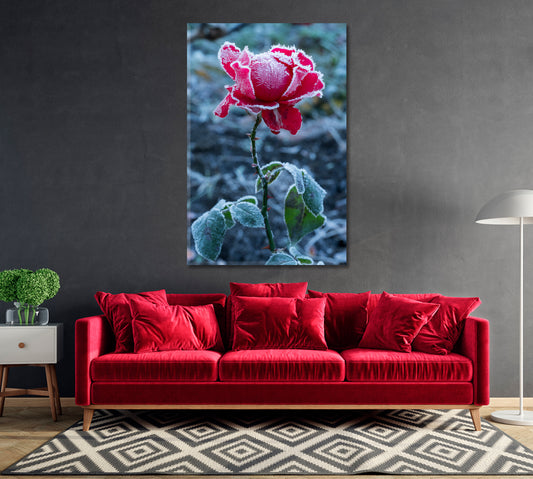 Frosty Red Rose Canvas Print-Canvas Print-CetArt-1 panel-16x24 inches-CetArt