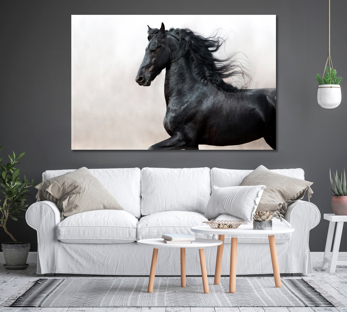 Black Friesian Horse Canvas Print-Canvas Print-CetArt-1 Panel-24x16 inches-CetArt