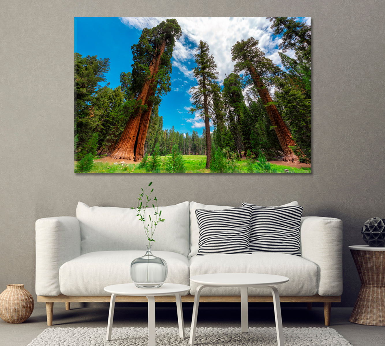 Sequoia Trees In Sequoia National Park California USA Canvas Print-Canvas Print-CetArt-1 Panel-24x16 inches-CetArt