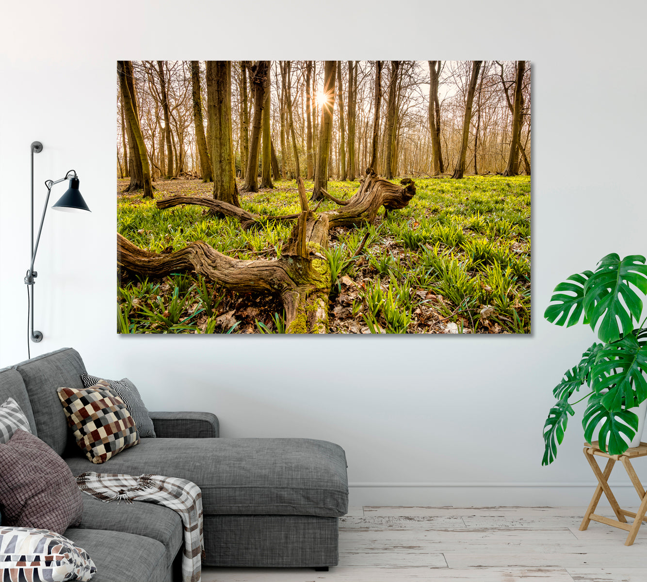 Forest with an Old Tree Trunk Canvas Print-Canvas Print-CetArt-1 Panel-24x16 inches-CetArt