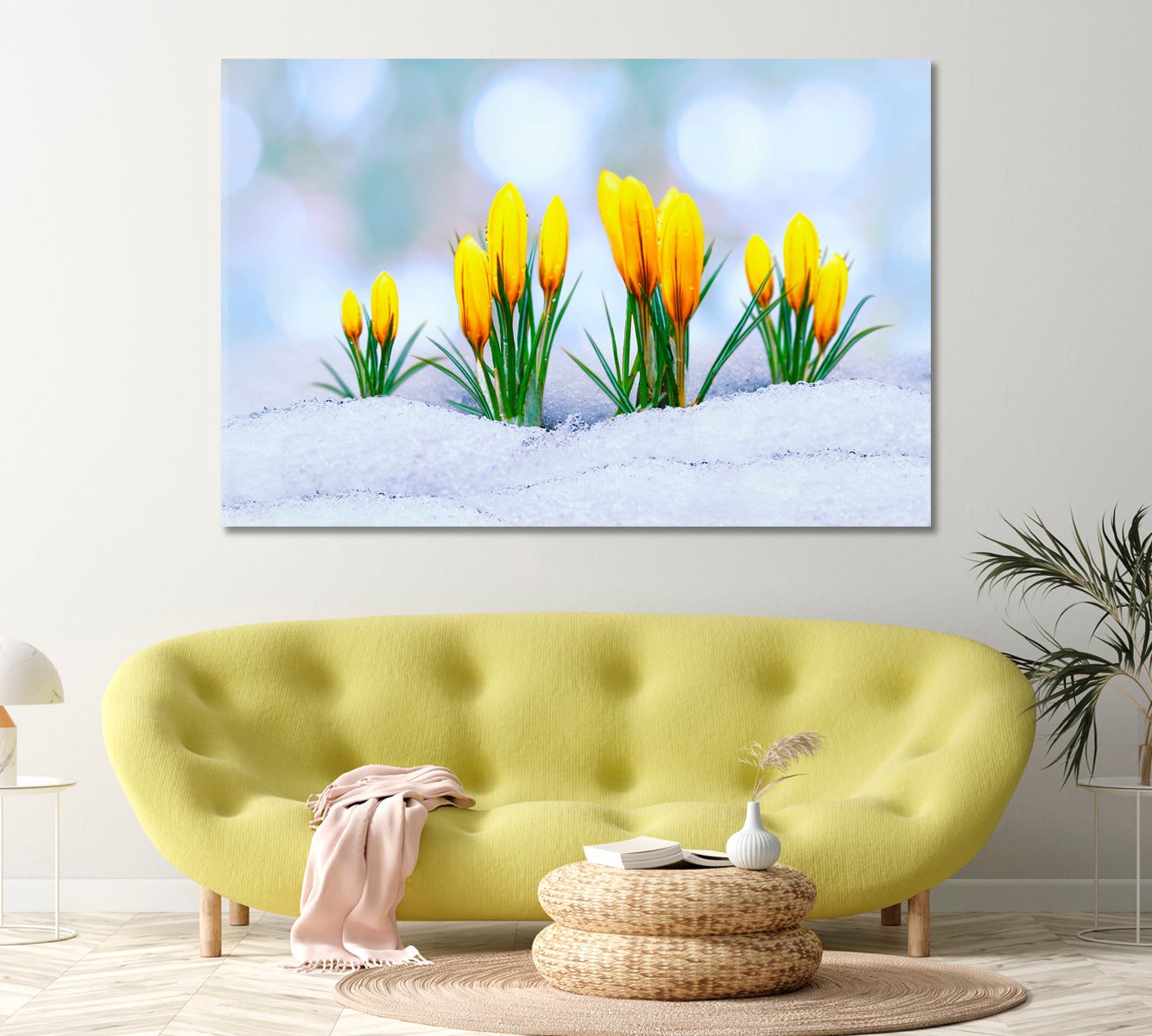 Yellow Crocus Flower in Snow Canvas Print-Canvas Print-CetArt-1 Panel-24x16 inches-CetArt