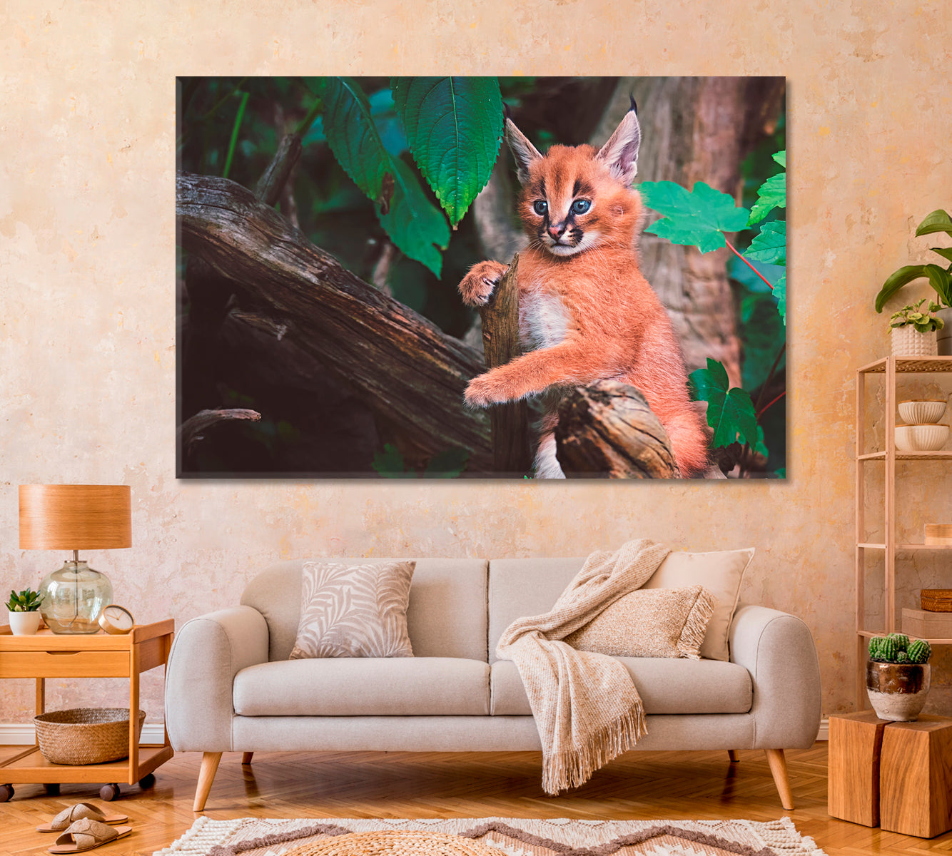 Cute Caracal Canvas Print-Canvas Print-CetArt-1 Panel-24x16 inches-CetArt