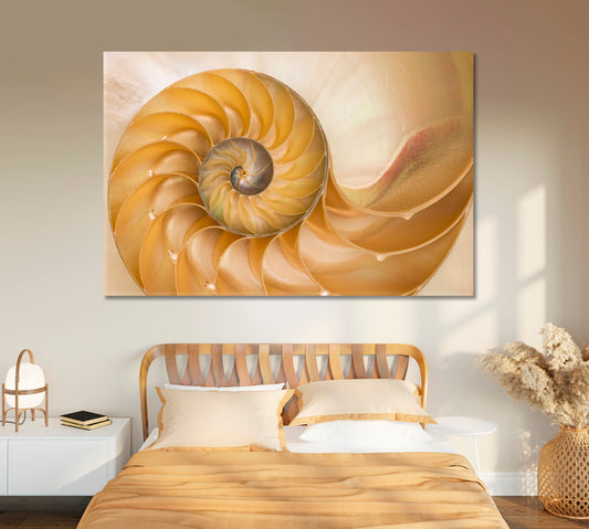 Nautilus Seashell Canvas Print-Canvas Print-CetArt-1 Panel-24x16 inches-CetArt