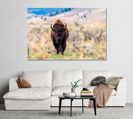 American Bison in Natural Habitat Canvas Print-Canvas Print-CetArt-1 Panel-24x16 inches-CetArt