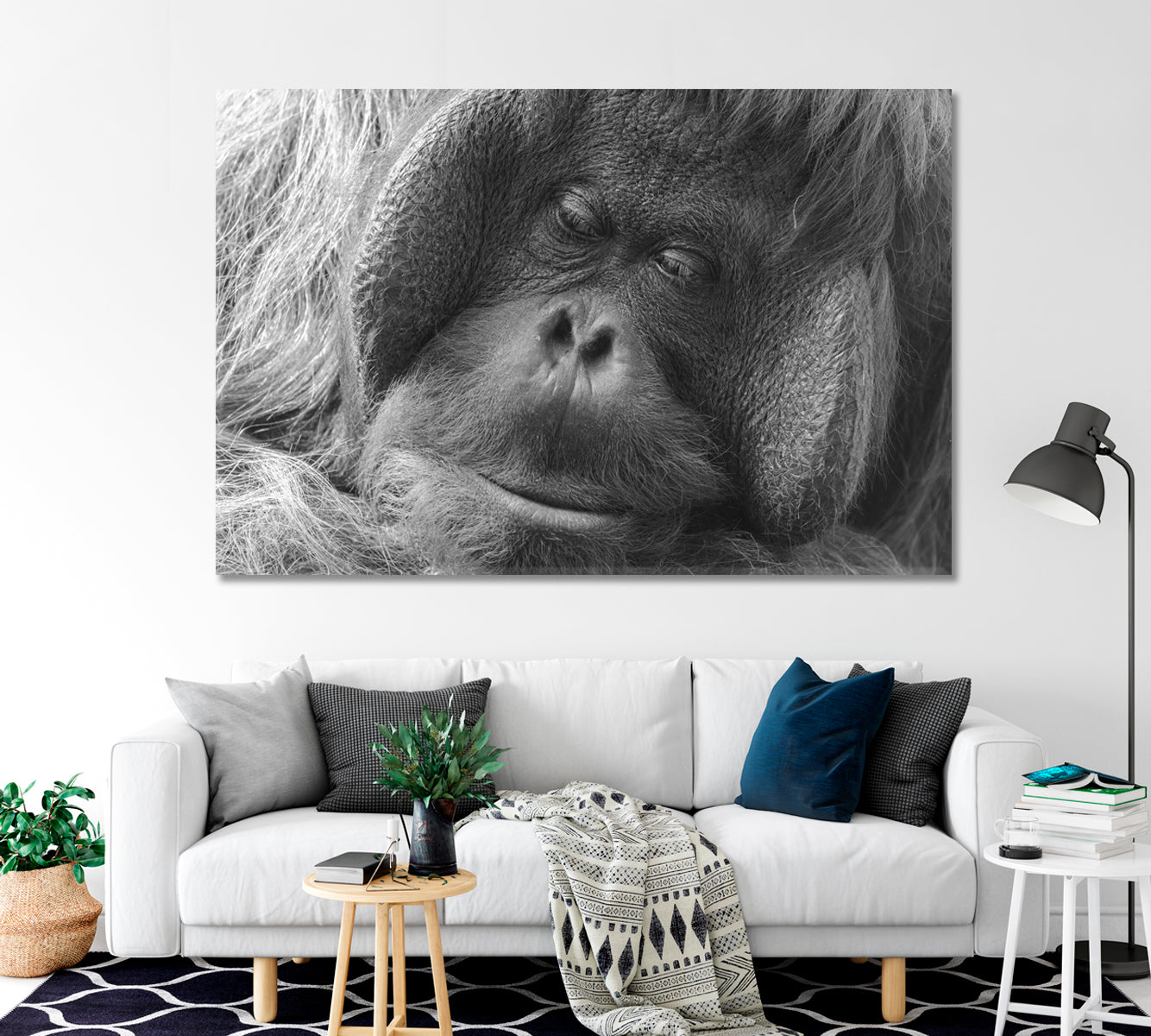 Orangutan in Black and White Canvas Print-Canvas Print-CetArt-1 Panel-24x16 inches-CetArt