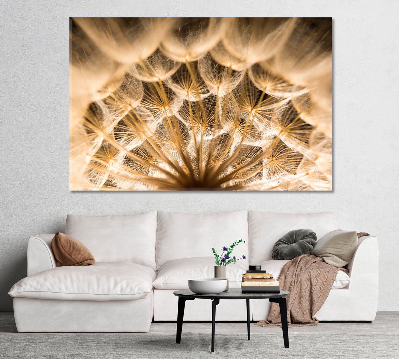 Dandelion Close Up Canvas Print-Canvas Print-CetArt-1 Panel-24x16 inches-CetArt