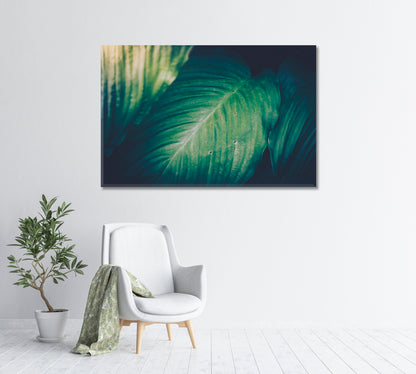 Tropical Green Leaves Canvas Print-Canvas Print-CetArt-1 Panel-24x16 inches-CetArt