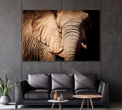 Wild African Elephant Canvas Print-Canvas Print-CetArt-1 Panel-24x16 inches-CetArt