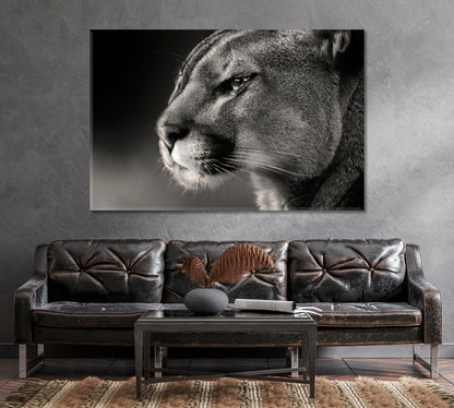 Cougar Face in Black White Canvas Print-Canvas Print-CetArt-1 Panel-24x16 inches-CetArt