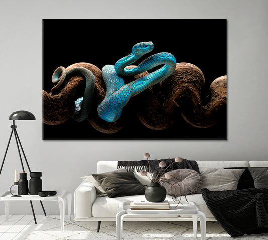 Poisonous Turquoise Blue Viper Canvas Print-Canvas Print-CetArt-1 Panel-24x16 inches-CetArt