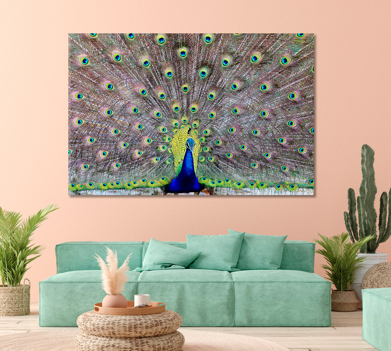 Peacock Showing Off His Tail Feathers Canvas Print-Canvas Print-CetArt-1 Panel-24x16 inches-CetArt