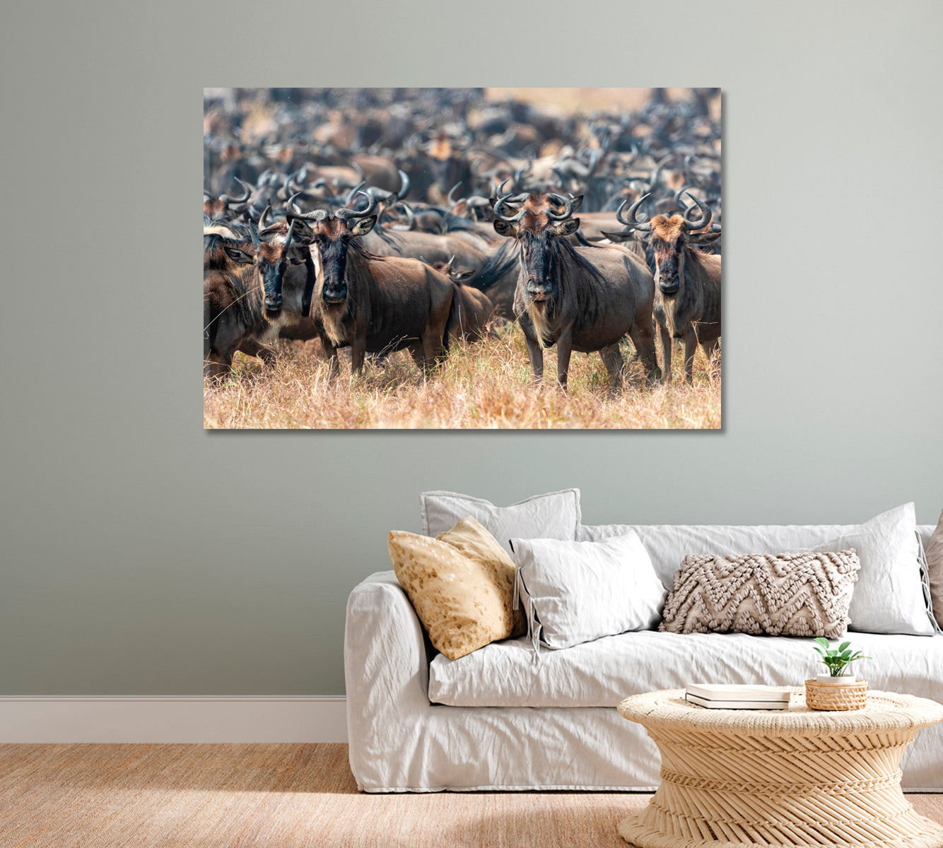 Herd of Wildebeests in Natural Habitat Canvas Print-Canvas Print-CetArt-1 Panel-24x16 inches-CetArt