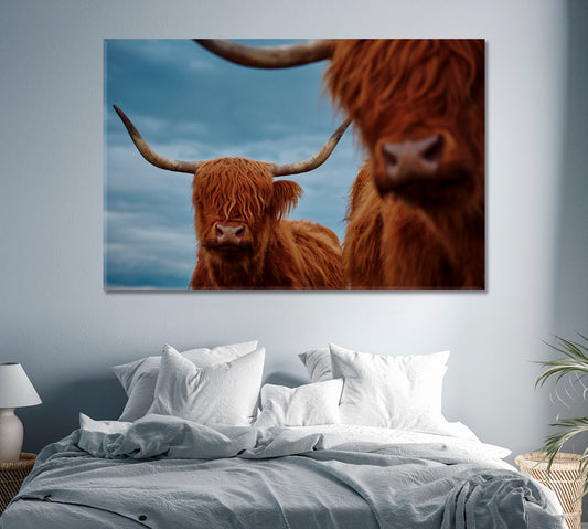 Portrait Of A Highland Cow Canvas Print-Canvas Print-CetArt-1 Panel-24x16 inches-CetArt