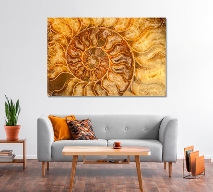 Nautilus Shell Fossil Canvas Print-Canvas Print-CetArt-1 Panel-24x16 inches-CetArt