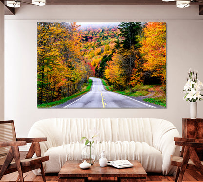 Autumn Road to Monongahela National Forest USA Canvas Print-Canvas Print-CetArt-1 Panel-24x16 inches-CetArt