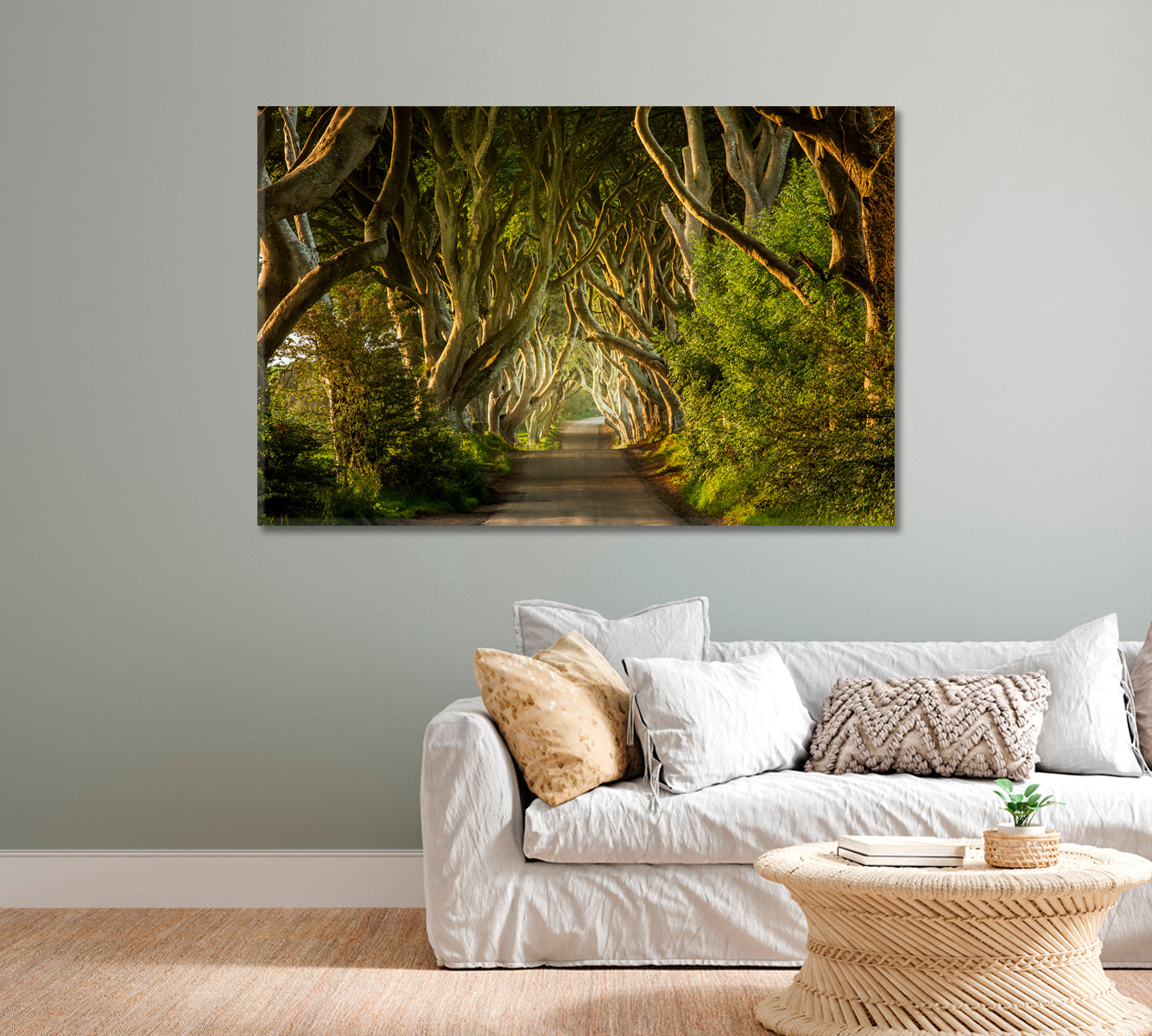 The Dark Hedges Northern Ireland Canvas Print-Canvas Print-CetArt-1 Panel-24x16 inches-CetArt