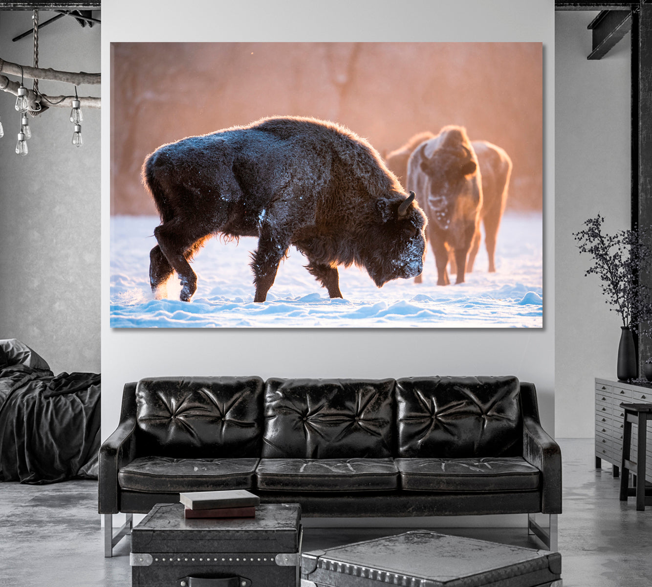 Bisons in the Winter Wild Canvas Print-Canvas Print-CetArt-1 Panel-24x16 inches-CetArt