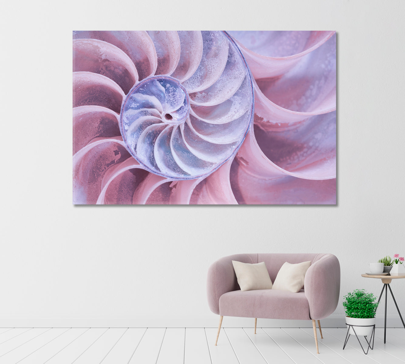 Nautilus Shell Canvas Print-Canvas Print-CetArt-1 Panel-24x16 inches-CetArt