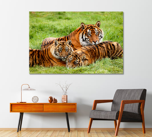 Sumatran Tigers Family Canvas Print-Canvas Print-CetArt-1 Panel-24x16 inches-CetArt