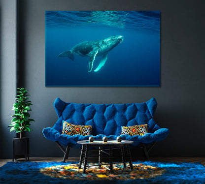 Humpback Whale Cub in the Pacific Ocean Canvas Print-Canvas Print-CetArt-1 Panel-24x16 inches-CetArt