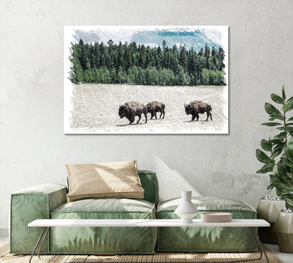 Herd of American Bison Grand Canyon National Park Arizona USA Canvas Print-Canvas Print-CetArt-1 Panel-24x16 inches-CetArt